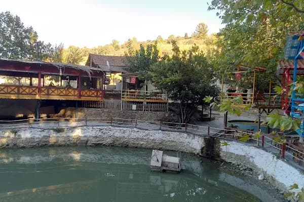 Şiringöl Restaurant Ve Kamp Alanı - Restoran - İzmir Konak