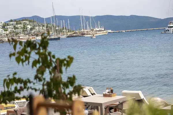 The Vox Bodrum - Canlı Müzik Olan Bar - Muğla Bodrum