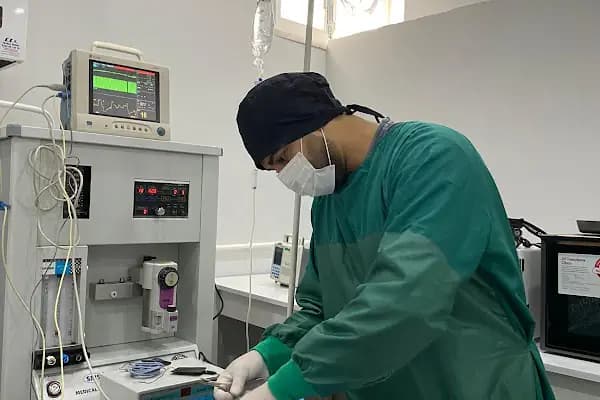 SO PATİ Veteriner Kliniği - Veteriner - Konya Akşehir
