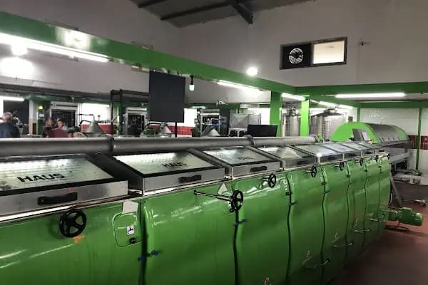 Döşemealtı Zeytinyağı - Sağlıklı Yiyecek Mağazası - Antalya Döşemealtı