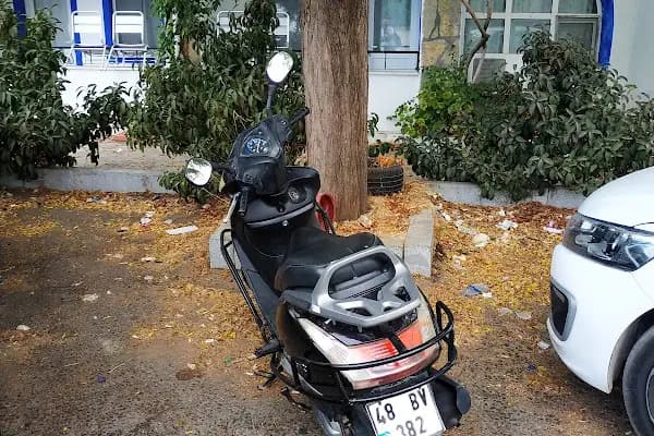 Angel Rent A Car - Araba Kiralama Şirketi - Muğla Dalaman