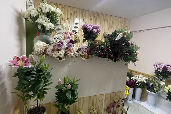 Kuzey Çiçek Evi - Çiçekçi - Bursa Nilüfer