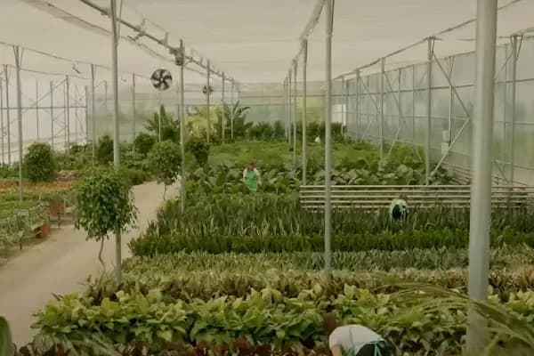 Fidan Burada Tarım Hayv. İç Ve Dış Tic. San. Ltd Şti. Fidanlık Ve Operasyon Merkezi Ofisi - Kurumsal Ofis - İzmir Bergama