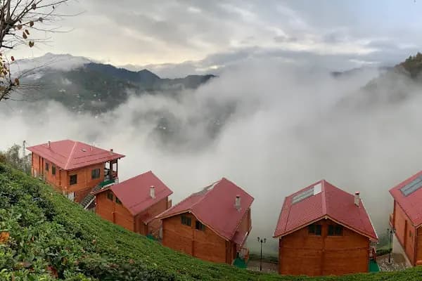 Oşvacu Dağ Evleri - Otel - Rize Derepazarı