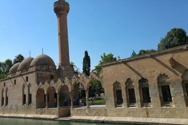 Şanlıurfa Müzesi Neolitik Çağ Salonu - Müze - Şanlıurfa Eyyübiye