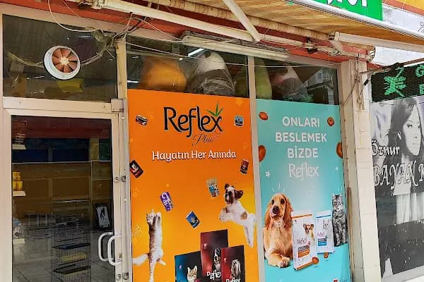 Gazi Oglu Akvaryum Pet Shop - Evcil hayvan mağazası - Konya Meram