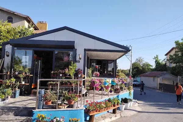 Yelpaze Çiçekçilik Çikolata Tablo - Çiçekçi - Konya Selçuklu