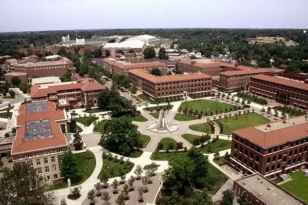 Bursa Teknik Üniversitesi - Üniversite - Bursa Osmangazi