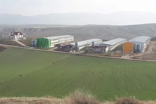 Anadolu Tavukçuluk - Kasap - Ankara Ayaş