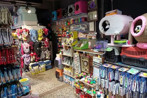 Arda Pet Shop - Evcil hayvan mağazası - Gaziantep İslahiye