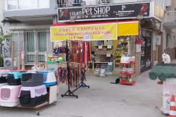 Ataş Hobi Muhabbet Kuşu Üretim & Kuş Oteli