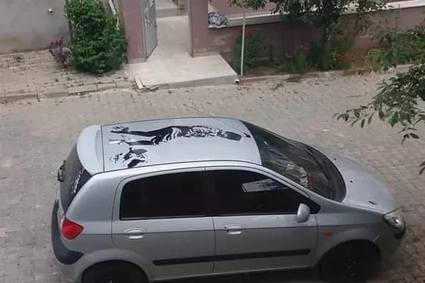 Havsa İlçe Halk Kütüphanesi - Kütüphane - Edirne Edirne Merkez