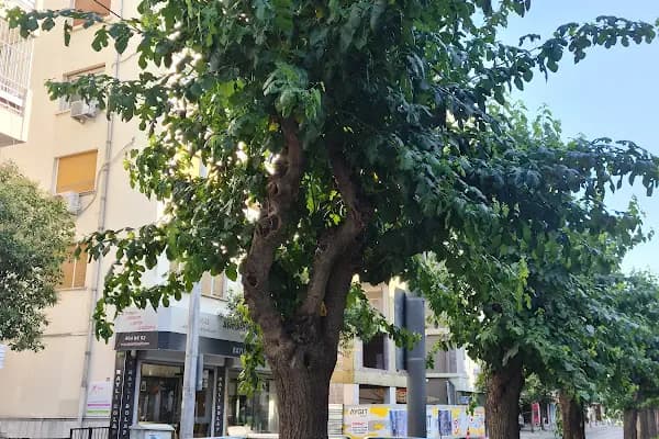 Hocazade Camii Tramvay Durağı - Ulaşım Hizmeti - İzmir Konak