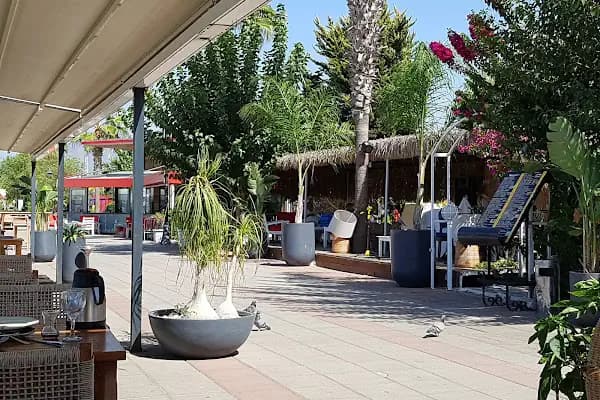 Başaran market &amp; tekel - Alışveriş merkezi - Muğla Dalaman