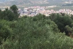 Hıdırbaba