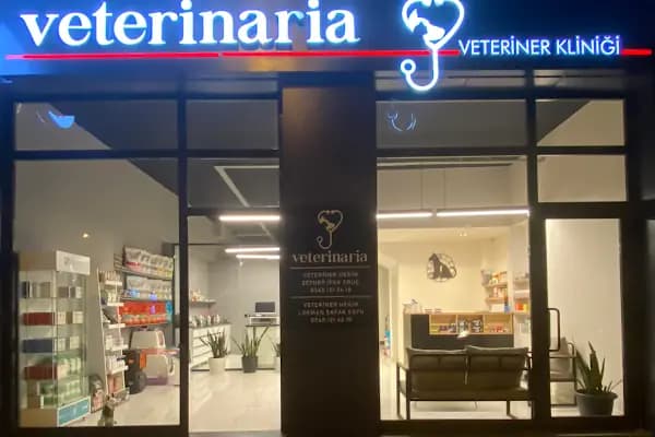 Veterinaria Veteriner Kliniği - Sakarya Adapazarı - Veteriner - Sakarya Adapazarı