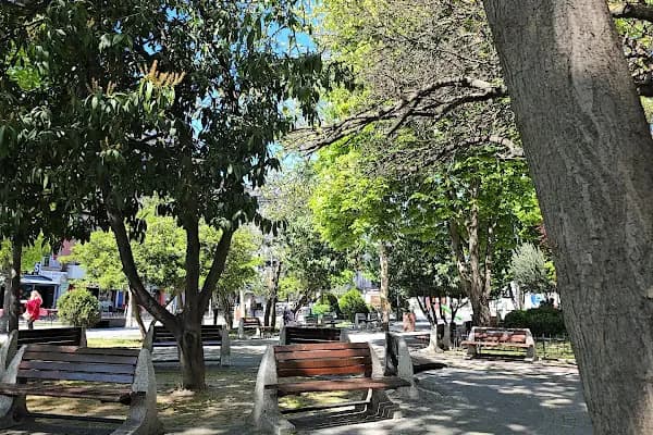 Zeytin Kafe - Kahve dükkanı - İstanbul Avcılar