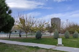 Paten Parkı