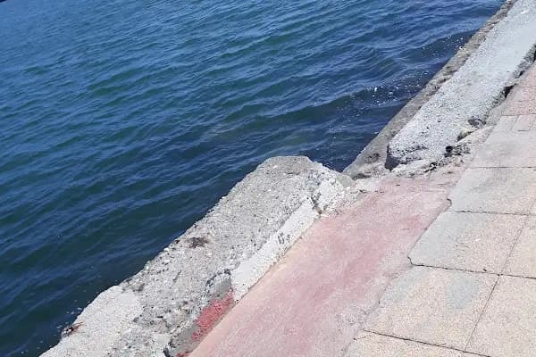 Mersin Belediyesi Park Ve Bahçeler Müdürlüğü - Resmi Kurum - Mersin Akdeniz