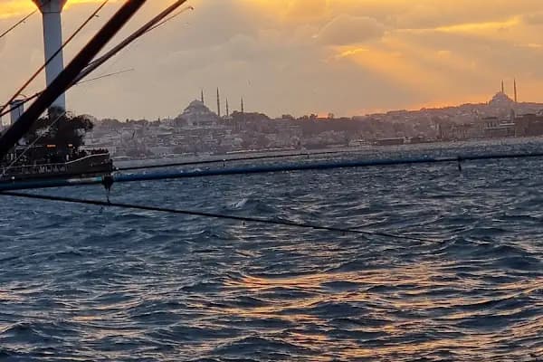Feribot İşletmesi