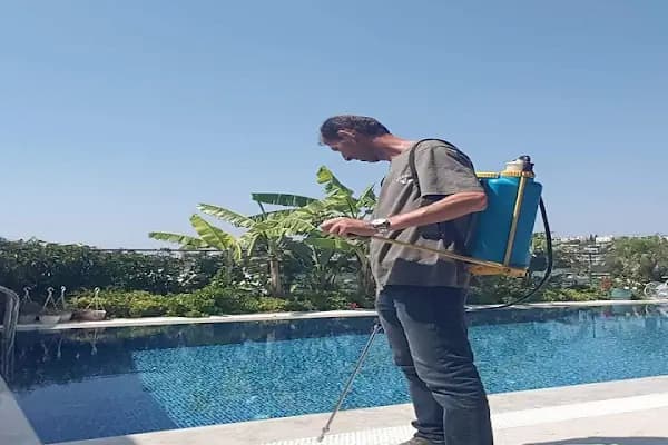 Haşere Avcısı Pest Hunter | Böcek İlaçlama - Haşere İlaçlama - Ev Ve Otel İlaçlama - Haşere İlaçlama Hizmeti - Muğla Bodrum