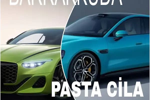 BARRAKKUDA PASTA CİLA - Detaylı Araç Temizlik Hizmeti - Bursa Gemlik