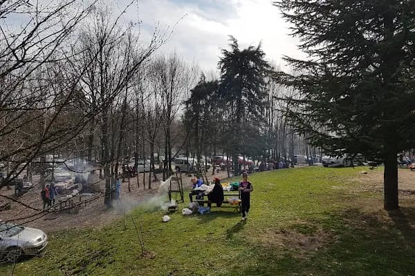Selman Dede Mesire Alani Ve Hayvanat Bahcesi - Milli Park - Sakarya Geyve