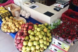 ÇUKUR SEBZE MEYVE TİCARETİ/MANAV