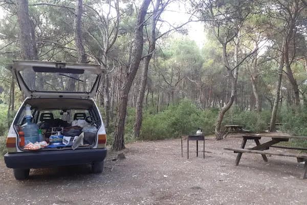 Çiçekli Milli Parkı - Ulusal park - İzmir 