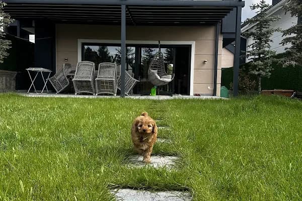 Loft Koru Doğa Evleri - Konut İnşaat - Ankara Mamak