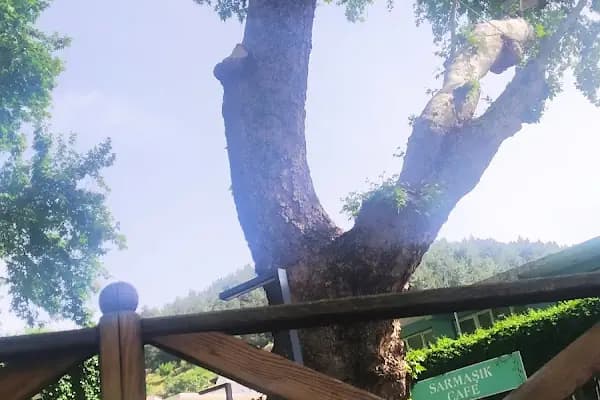 Kaynaklar Belediyesi - Resmi Kurum - İzmir Bayındır