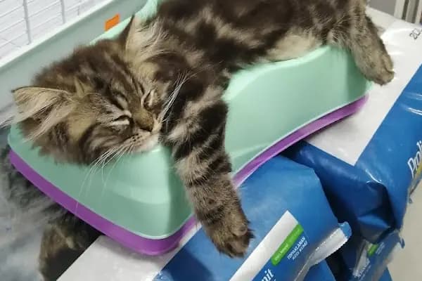 Ambarlı Petshop - Akvaryum - İstanbul Üsküdar