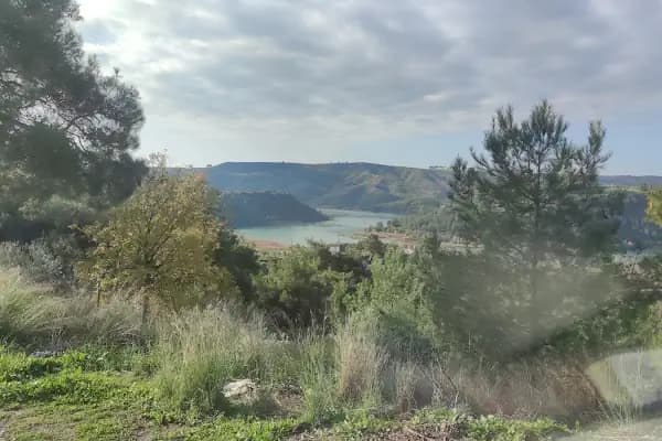 Musulu - Ulusal Orman - Adana Pozantı