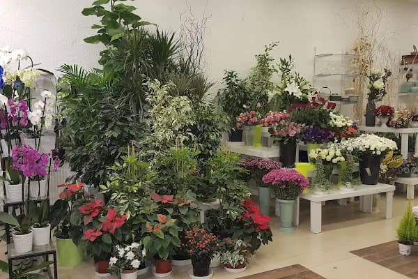 ÇAYYOLU ÇİÇEK MAĞAZASI - Çiçekçi - Ankara Yenimahalle