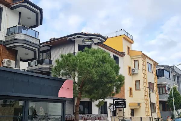 Psk. Esra Acar Selimbeyoğlu, Psikoloji - Psikolog - Balıkesir Karesi
