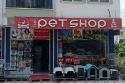 THE PET SHOP