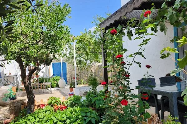 Alpi Apart Bodrum - Otel - Muğla Bodrum
