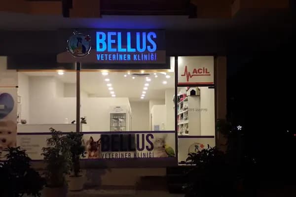 Bellus veteriner kliniği - Veteriner - Antalya Döşemealtı