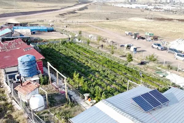 gürs kardeş kanatli hayvan çifliği - Hayvanat Bahçesi - Ankara Çankaya