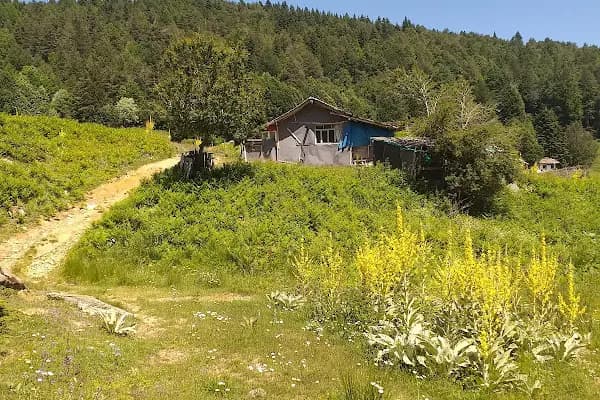 Paşa çayırı inegöl - Kamp Alanı - Bursa İnegöl
