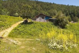 Paşa çayırı inegöl