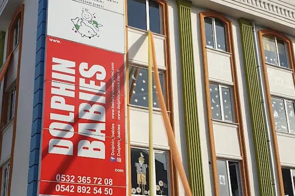 Dolphin Babies Bebek Yüzme Okulu - Spor kompleksi - İstanbul Maltepe