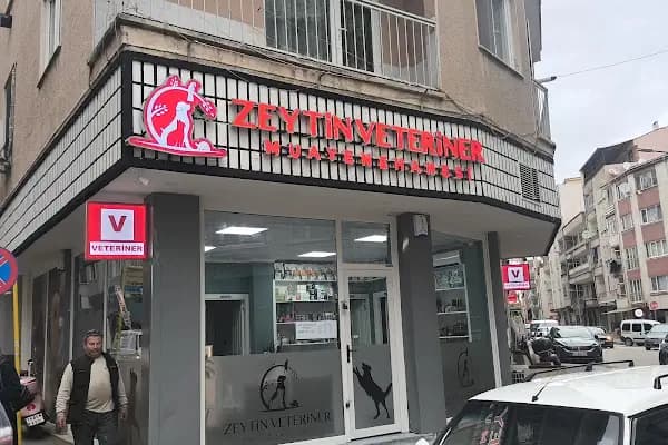 Zeytin Veteriner Kliniği Muayenehanesi - Veteriner - Bursa Yıldırım