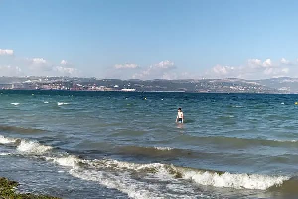 Altınova Hersek Plajı - Kumsal - Yalova Yalova Merkez