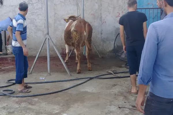 Ekinciler Döner - Dönerci - Diyarbakır Bismil