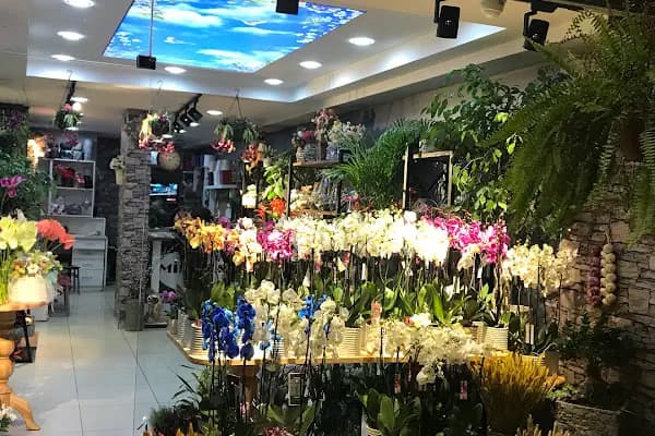 Denizli Mimoza Çiçekçilik - Denizli Çiçek Siparişi - Çiçekçi - Denizli Acıpayam