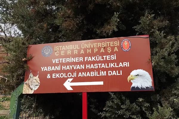 İstanbul Üniversitesi - Cerrahpaşa Veteriner Fakültesi, Yabani Hayvan Hastalıkları ve Ekoloji Anabilim Dalı - Üniversite - İstanbul Avcılar