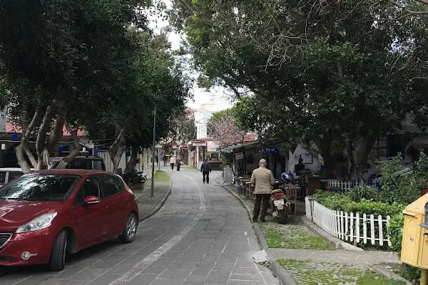 Su Ürünleri Kooperatifi - Mağaza - Muğla Bodrum