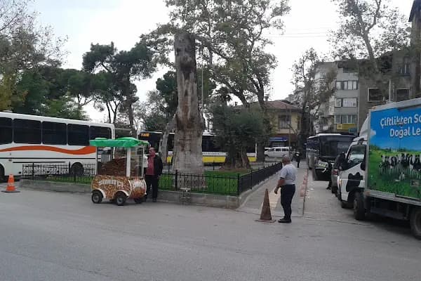 Gemlik Meydanı - Park - Bursa Gemlik