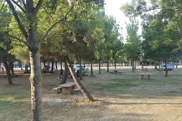 Mesire Alanı - Park - Samsun Alaçam